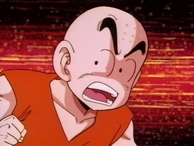 Dragonball Z (19).jpg